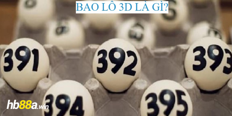 bao lô là gì 3d