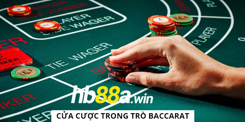 Luật chơi Baccarat với đa dạng cửa cược