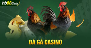 dá gà casino hb88