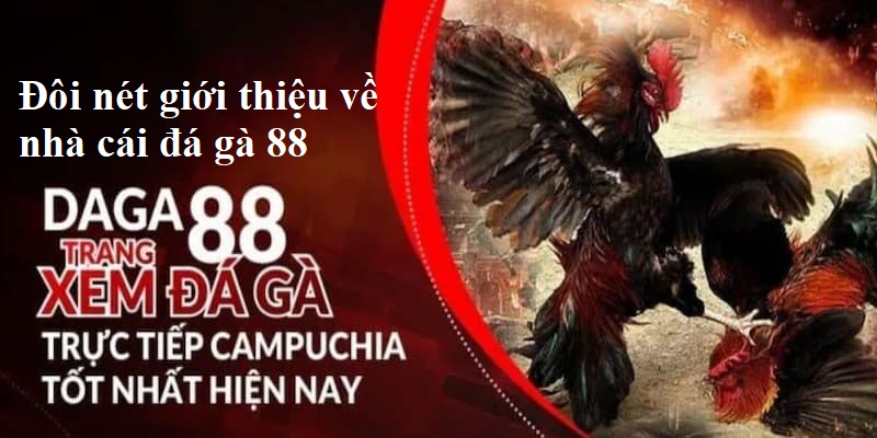 Đôi nét giới thiệu về nhà cái đá gà 88 uy tín nhất thị trường trực tuyến