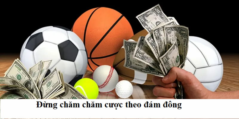 Cẩn thận với việc đặt cược theo theo tâm lý đám đông